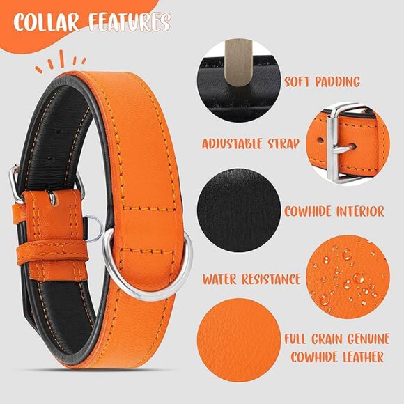 Orange Leather Dog Collar - Padded Heavy Duty Wide Dog Collar for Medium - Picture 3 of 3